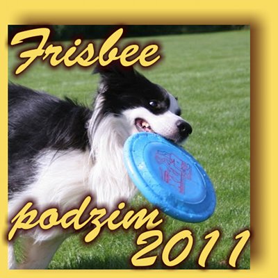 Frisbee podzim 2011