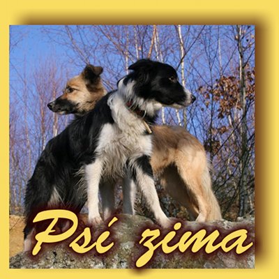 Psí zima 2011-2012