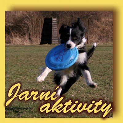 Jarní Aktivity