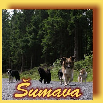 Sumava