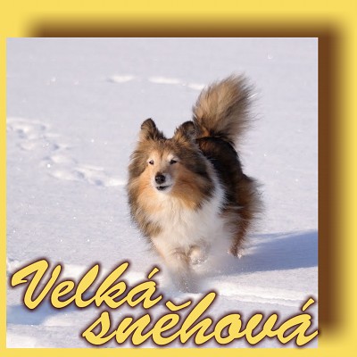 Velká sněhová