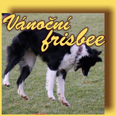 Vánoční frisbee