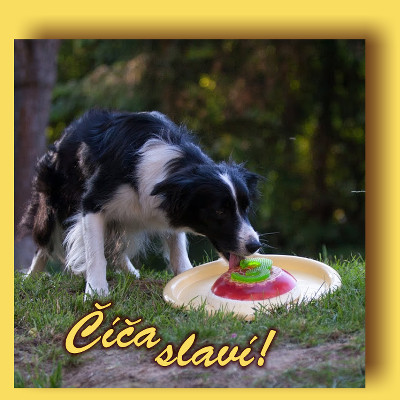 Agility tábor na Zetoru