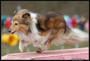 Queen Christine z Arcamony 