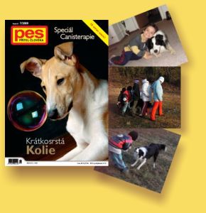 pes přítel člověka