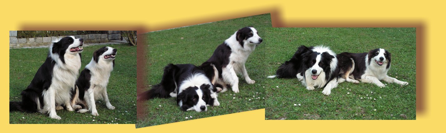 Glayzy Tri Spice z Černobílých + Cheese it Fitmin