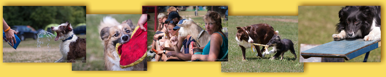 Agility soustřeďko