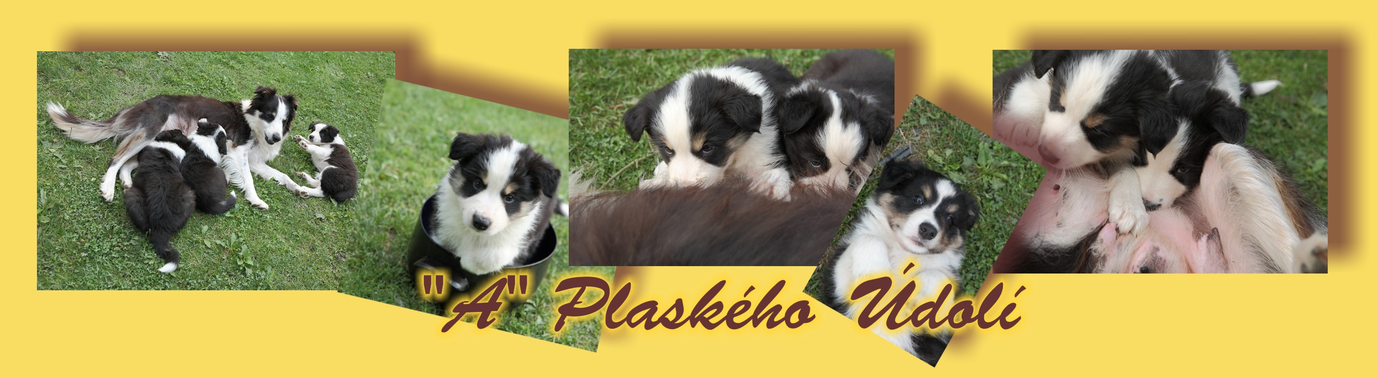 A Z Plaského Údolí