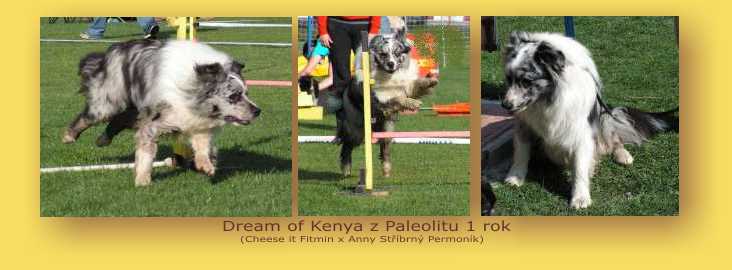 Dream Of Kenya z Paleolitu